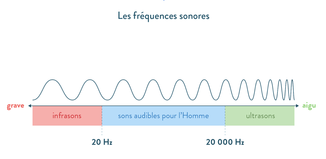 Les fréquences sonores